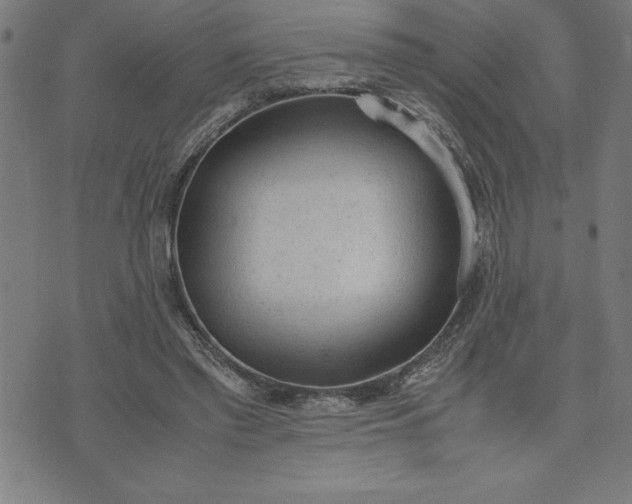 X0000072550397200607281654