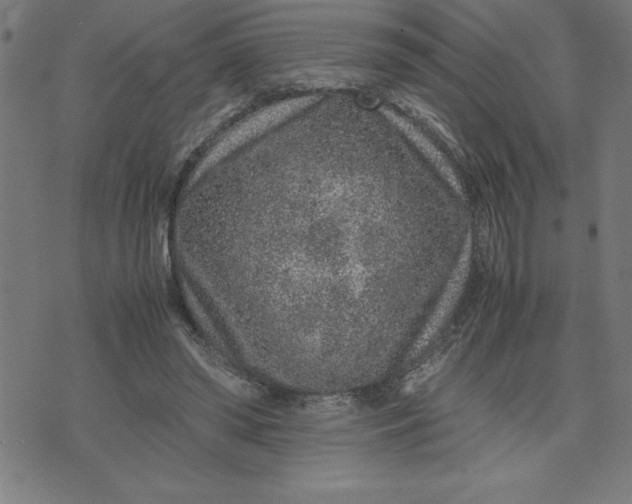 X0000072550398200607281654