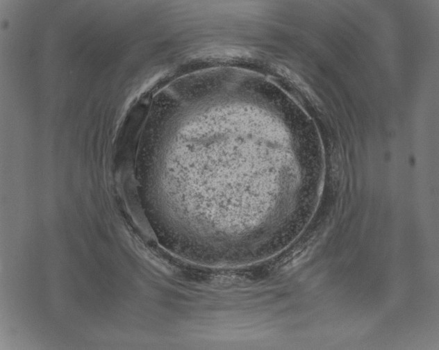 X0000072550399200607281654