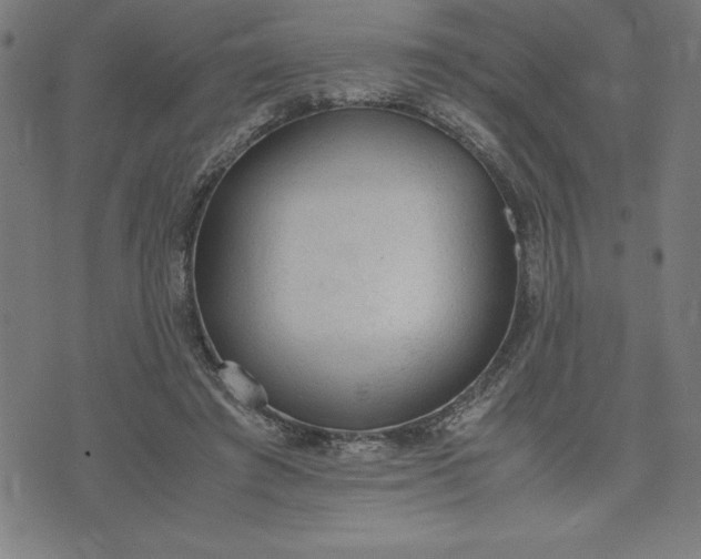 X0000072550401200607281654