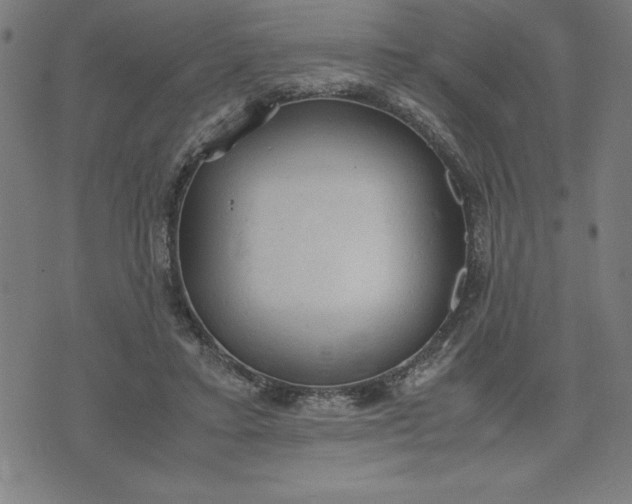 X0000072550403200607281654