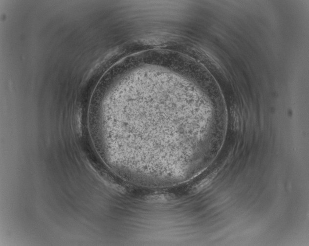 X0000072550404200607281654