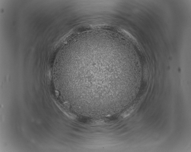 X0000072550405200607281654