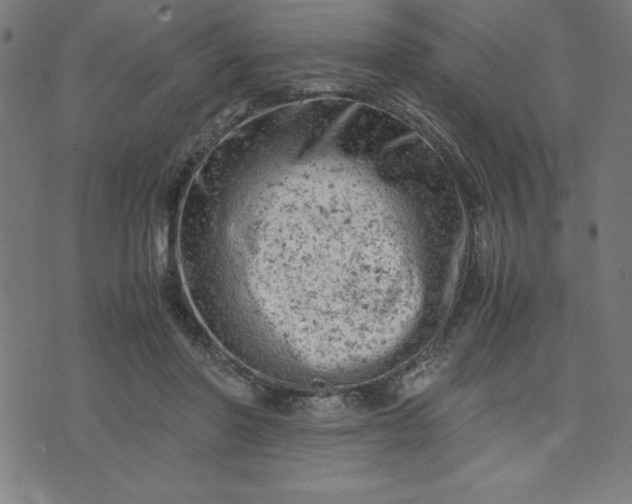 X0000072550406200607281654