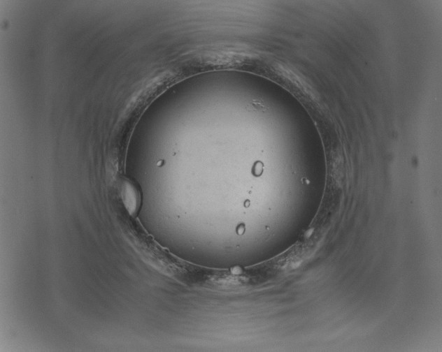 X0000072550407200607281653