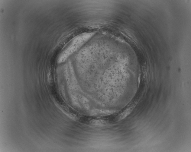 X0000072550408200607281653