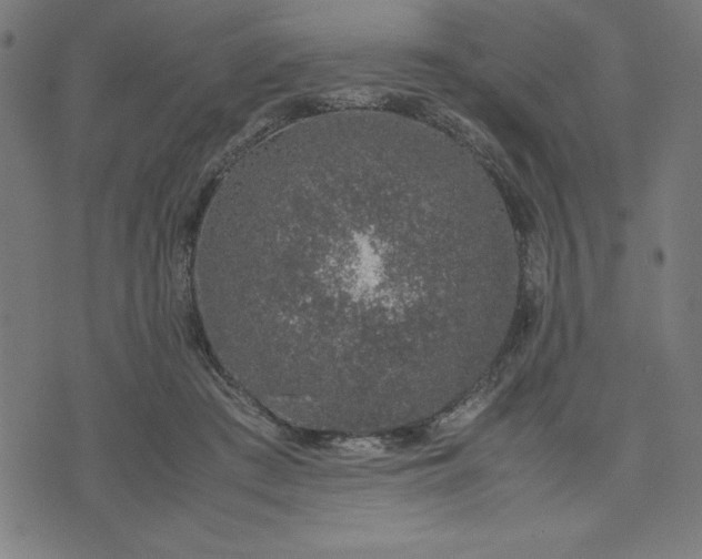 X0000072550409200607281653