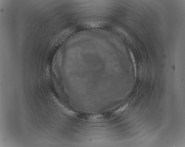 X0000072550410200607281653