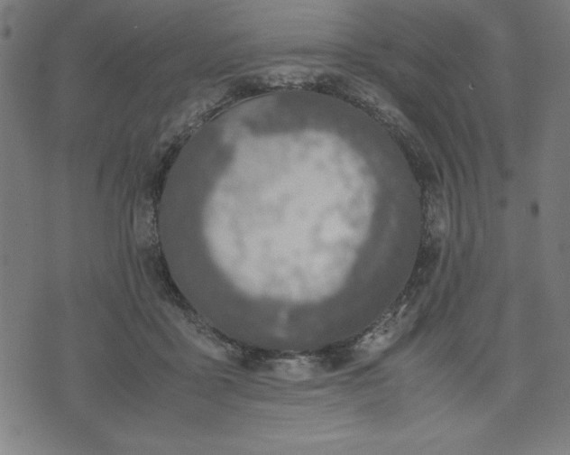 X0000072550411200607281653