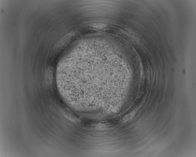 X0000072550412200607281653