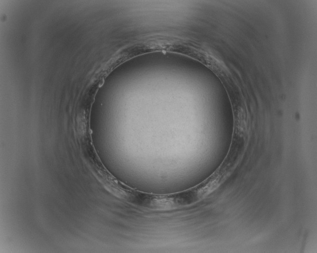 X0000072550413200607281653