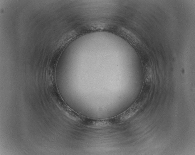 X0000072550414200607281653