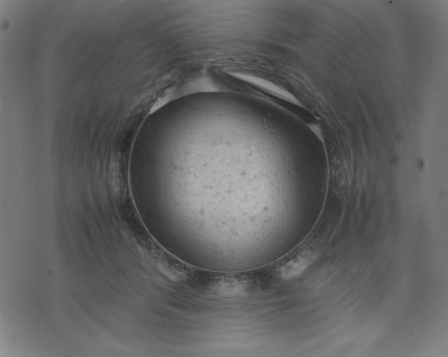 X0000072550416200607281653