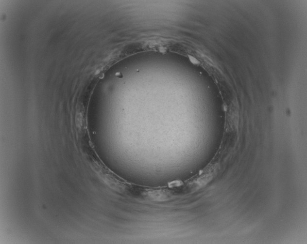 X0000072550417200607281653