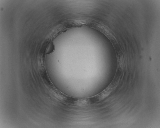 X0000072550418200607281653