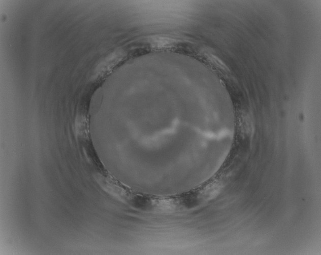 X0000072550419200607281653