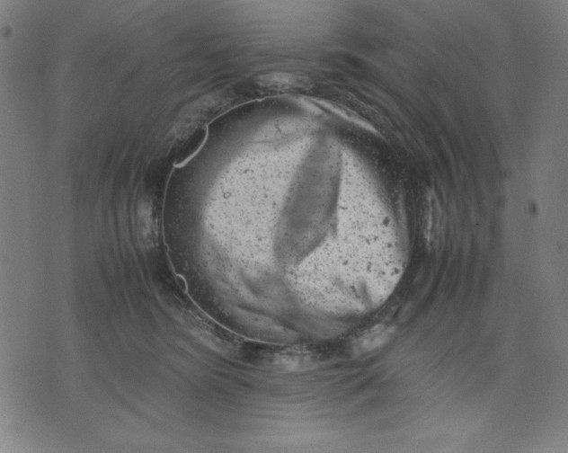 X0000072550420200607281653