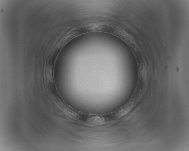 X0000072550421200607281653