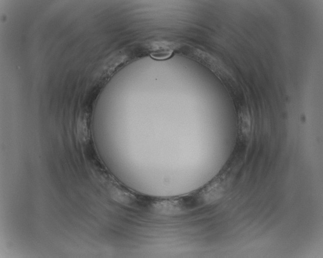 X0000072550422200607281653