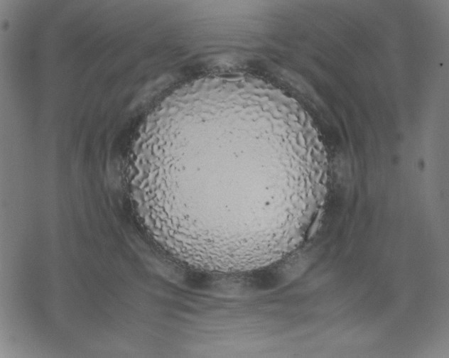 X0000072550423200607281653