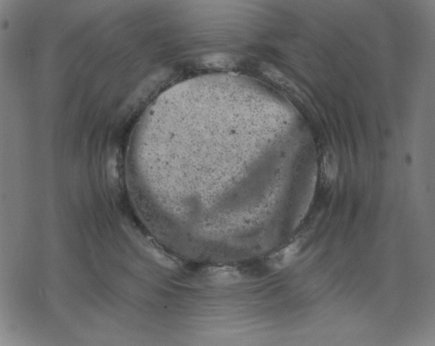 X0000072550424200607281653