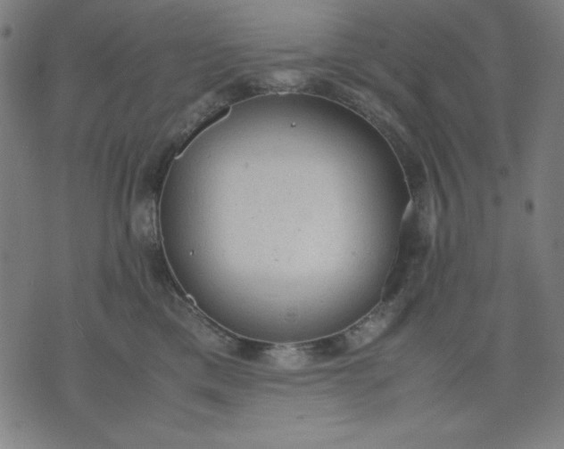 X0000072550425200607281653