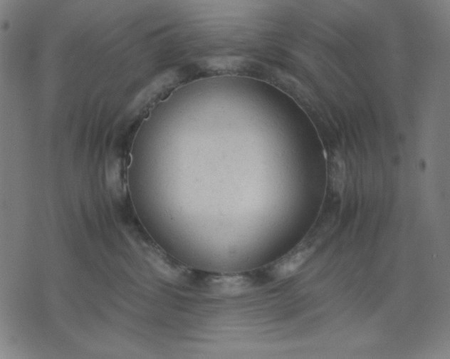 X0000072550428200607281653