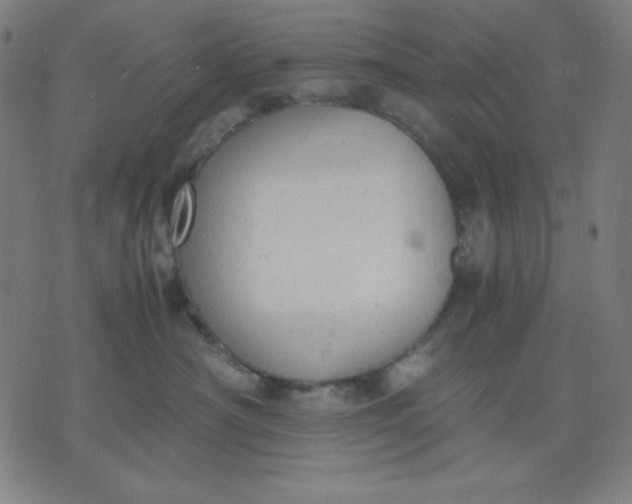 X0000072550430200607281653