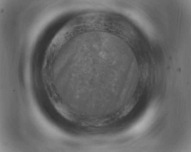 X0000072550431200607281653