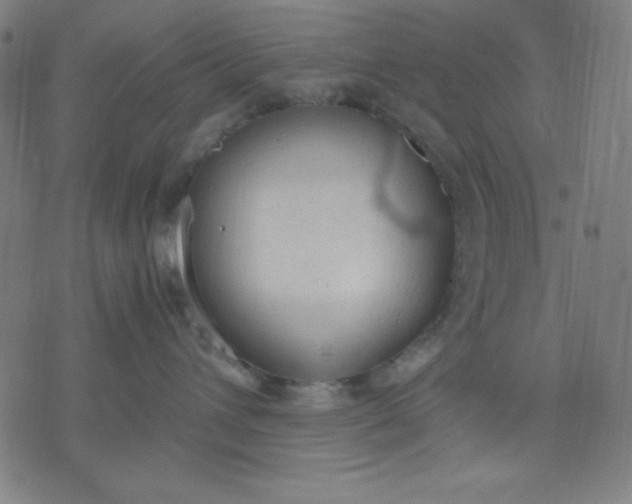 X0000072550432200607281653