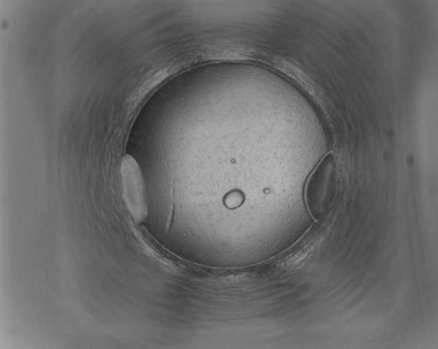 X0000072550433200607281652