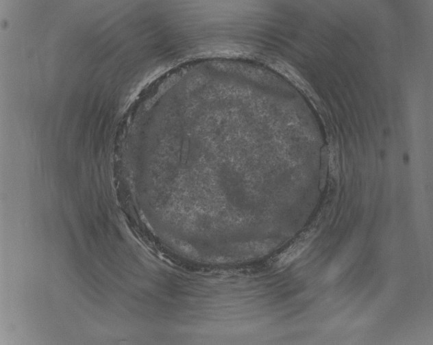 X0000072550434200607281652