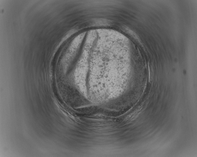 X0000072550435200607281652