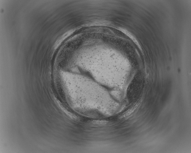 X0000072550437200607281652