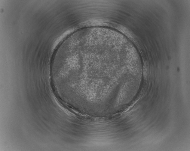 X0000072550438200607281652