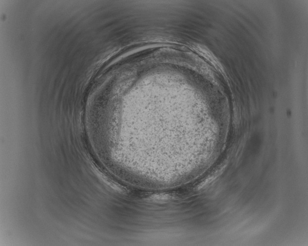 X0000072550441200607281652