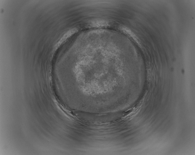 X0000072550443200607281652