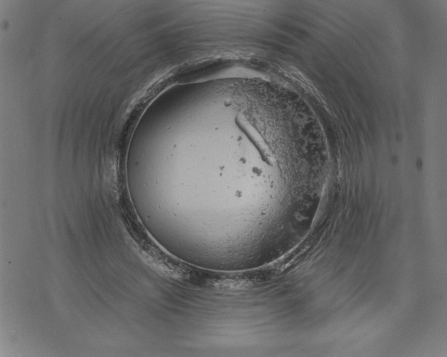 X0000072550444200607281653