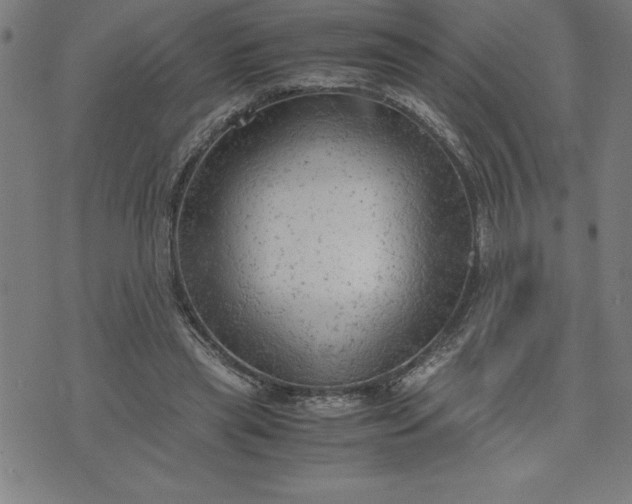 X0000072550445200607281653