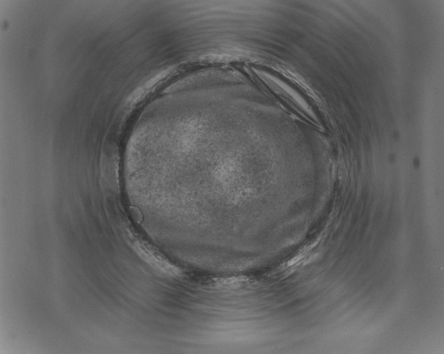 X0000072550446200607281653