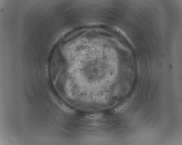 X0000072550447200607281653