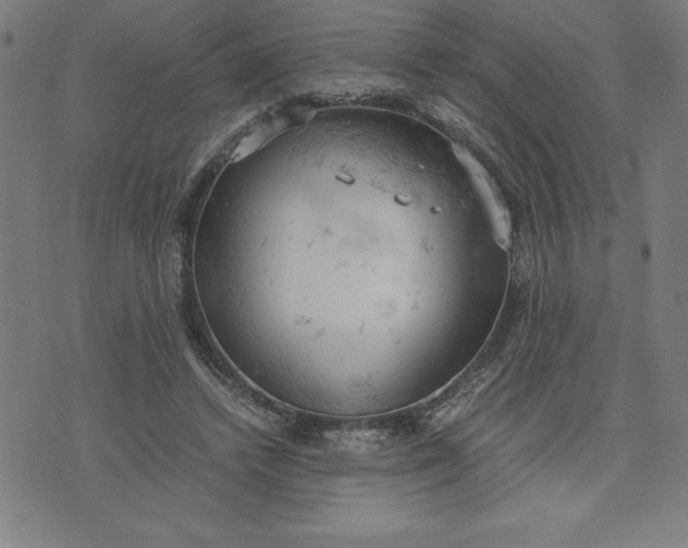 X0000072550448200607281653