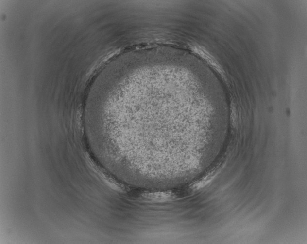 X0000072550449200607281653