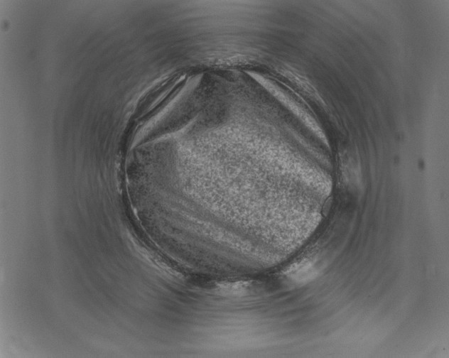 X0000072550450200607281653