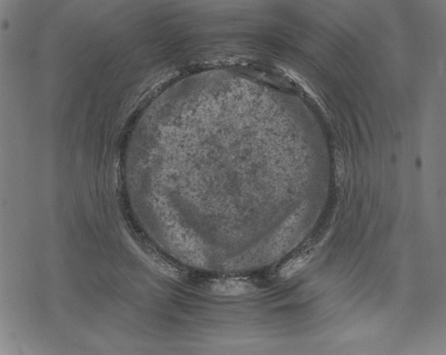 X0000072550451200607281653