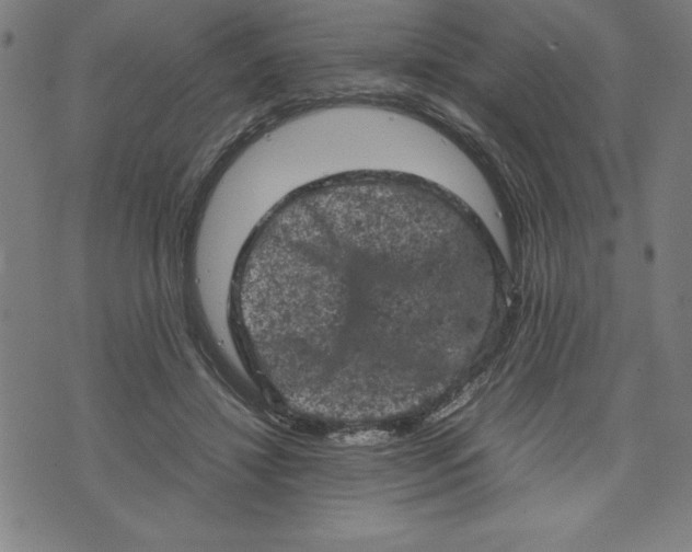 X0000072550452200607281653