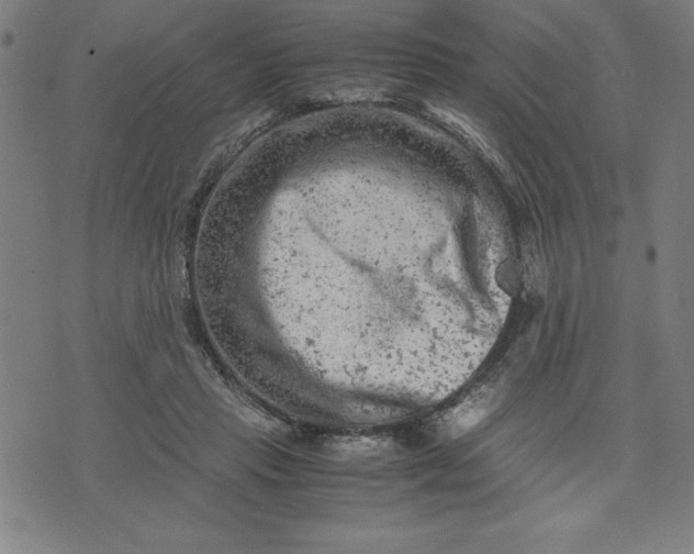 X0000072550453200607281653