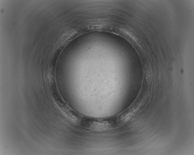 X0000072550455200607281653