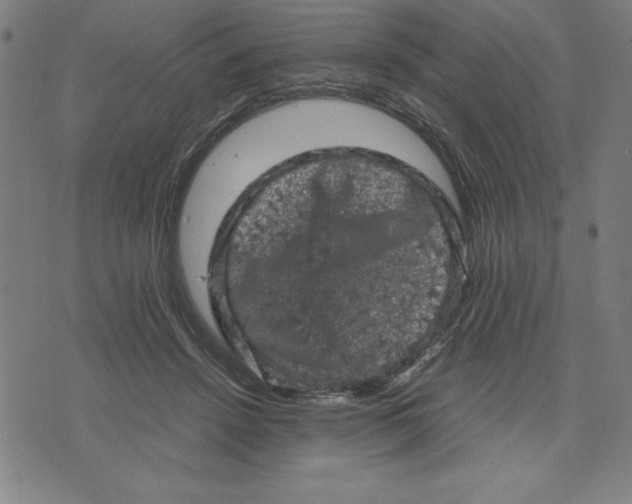 X0000072550456200607281653