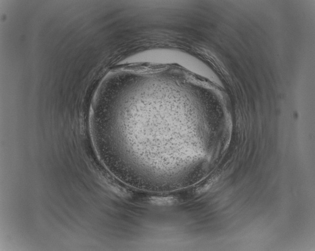 X0000072550457200607281653